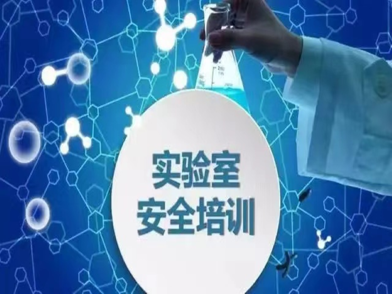 糖心VLOG官网观看安全培训